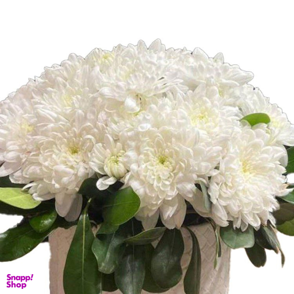 باکس گل طبیعی مدل 47