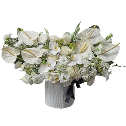 باکس گل طبیعی یوریکا