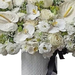 باکس گل طبیعی یوریکا