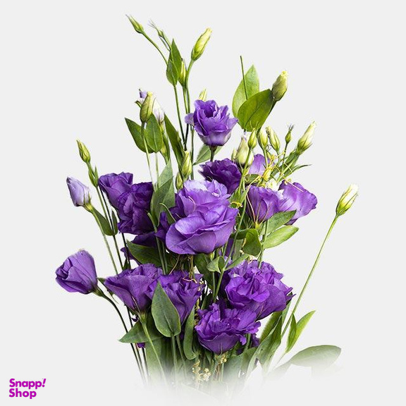 دسته گل طبیعی لیسیانتوس رنگ بنفش