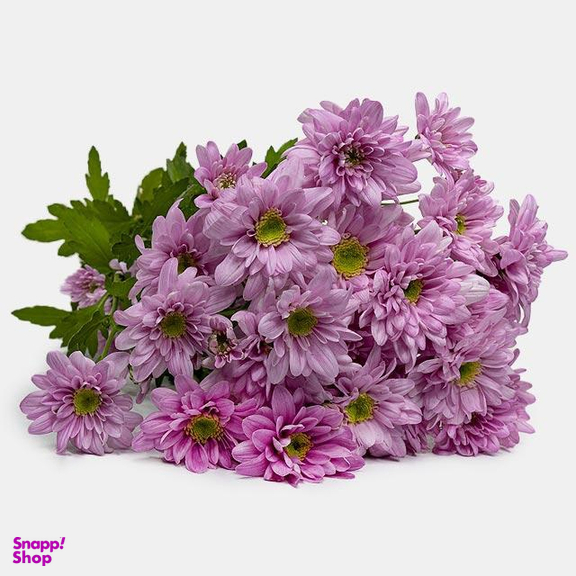 دسته گل طبیعی داوودی مدل Li006 رنگ بنفش