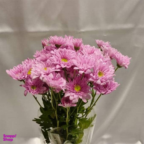 دسته گل طبیعی داوودی مینیاتوری کد G01 رنگ صورتی 5 شاخه با تزیینات کنف