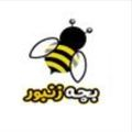 bacheh zanboor