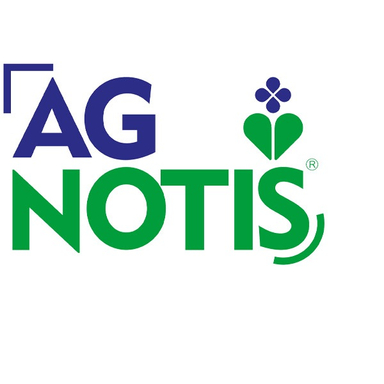 Agnotis