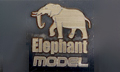 Elephant Model