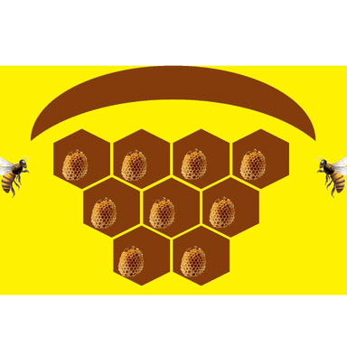 Shahdsar Honey of Khansar