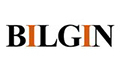 Bilgin