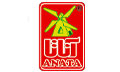 Anata