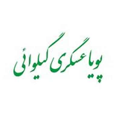 Pouya Askari Gilvaei