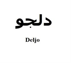 دلجو