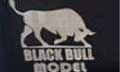 Black Bull Model