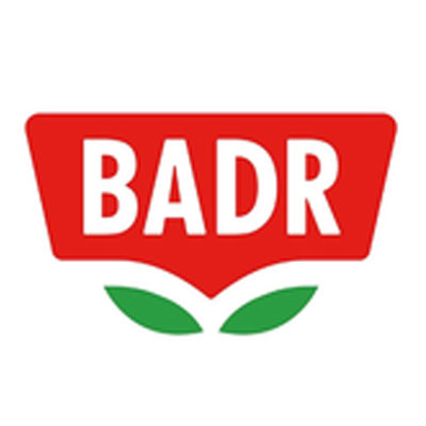 Badr