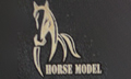 Horse Model
