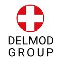 Delmod group
