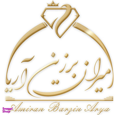 Amiran Barzin Arya