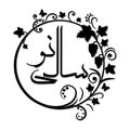 سالی نو