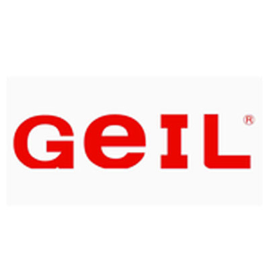 Geil