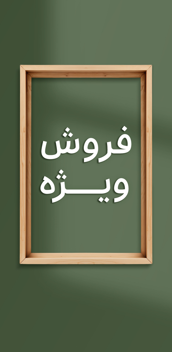 ارگانایزر