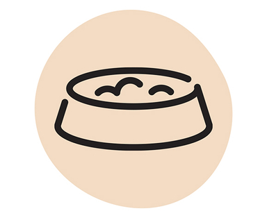غذا گربه