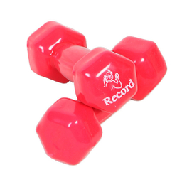 دمبل رکورد مدل 001 کد 1117 وزن 2 کیلوگرم بسته 2 عددی