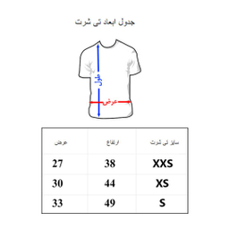 تیشرت آستین کوتاه پسرانه به رسم مدل پاندای کونگ فو کار کد 1117
