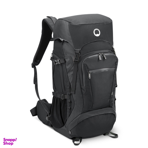 کوله پشتی ورزشی دلسی مدل NOMADE کد 3335612