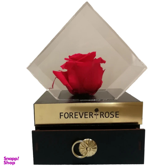 جعبه گل رز جاودان کشودار کد 01