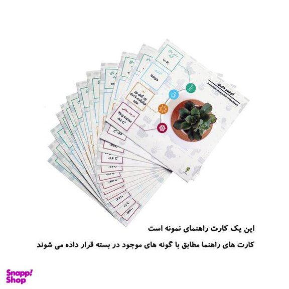 گیاه طبیعی کاکتوس و ساکولنت آیدین کاکتوس کد CB-009 بسته 12 عددی