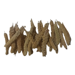 غذای پرندگان مدل ارزن خوشه ای ریز کد 09 بسته 50 عددی