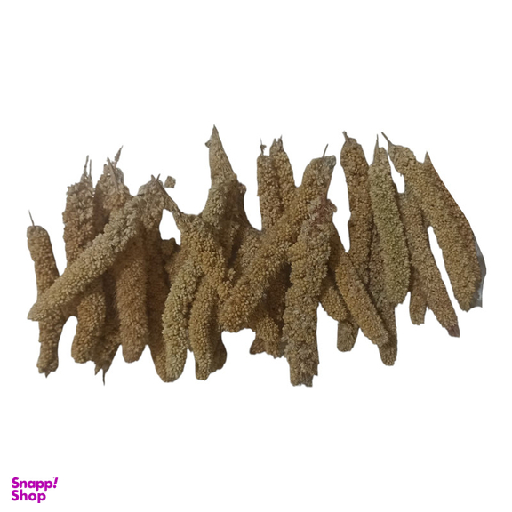 غذای پرندگان مدل ارزن خوشه ای ریز کد 09 بسته 50 عددی