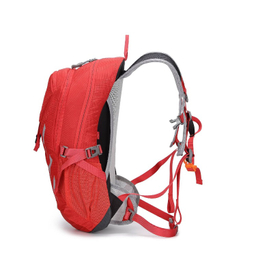 کوله پشتی 20 ليتر پکینیو مدل Shiraz