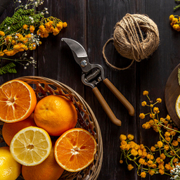 عرق بهارنارنج ارگانیک ژیک حجم 1 لیتر