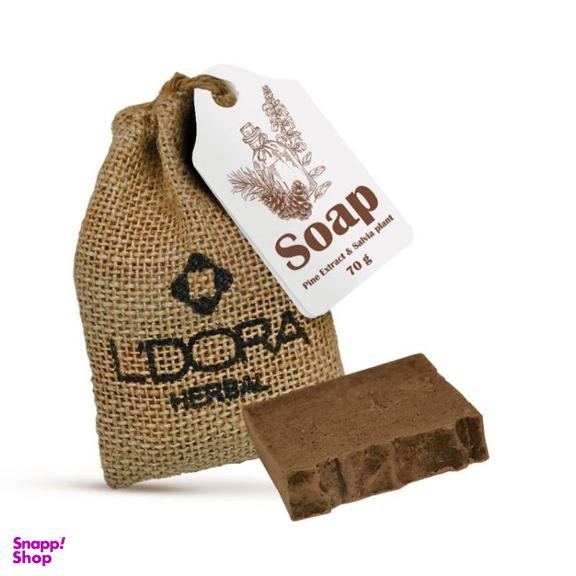 صابون گیاهی لدورا مدل عصاره کاج و مریم گلی هربال وزن 70 گرم