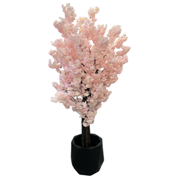 درختچه شکوفه درسا کد 5712 رنگ صورتی