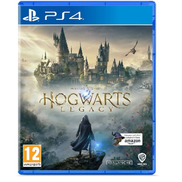 بازی ویدیویی Hogwarts Legacy کد 95 مناسب کنسول بازی سونی PS4