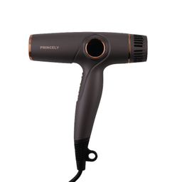 سشوار پرینسلی کد PR 281 AT