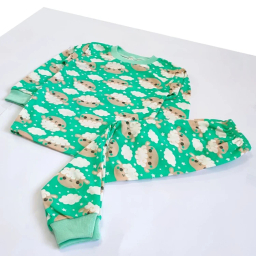 ست تیشرت آستین بلند و شلوار راحتی نوزادی مدل ببعی کد 4156 رنگ سبز