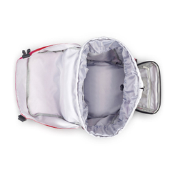 کوله پشتی ورزشی دلسی مدل NOMADE کد 3335612