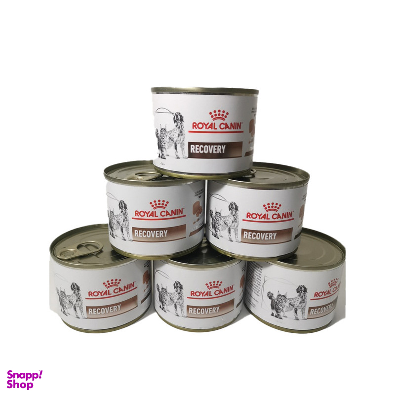 کنسرو گربه و سگ رویال کنین مدل ریکاوری وزن 2340 گرم بسته 12 عددی