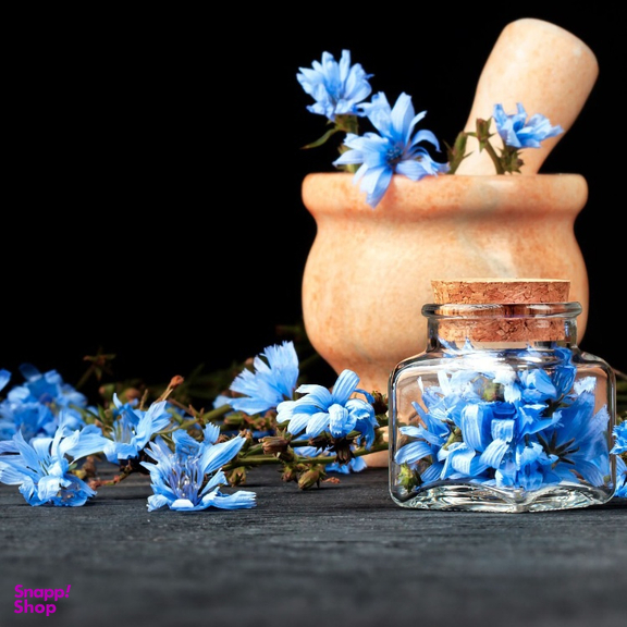 عرق کاسنی ارگانیک ژیک حجم 1 لیتر