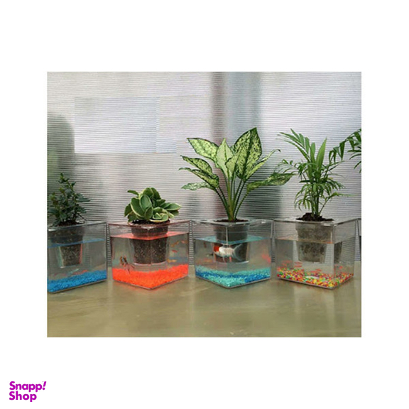 آکواریوم مدل گلدان شفاف