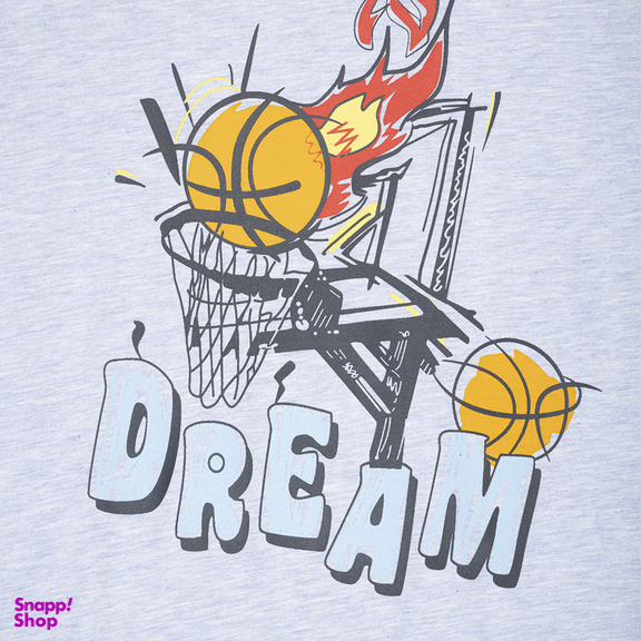 تیشرت آستین کوتاه پسرانه فیورلا مدل basketball dream کد 35062