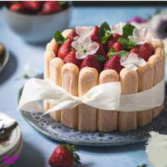 بیسکوییت لیدی فینگر تیرامیسو دلجو وزن 230 گرم
