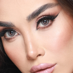 لنز فصلی بیوتی مدل N21OB شماره 206 رنگ طوسی روشن دور مشکی