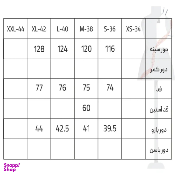 شومیز زنانه سرژه مدل GD-18447832