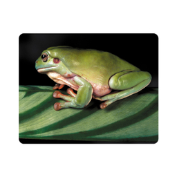 ماوس پد اطلس آبی طرح برگ و قورباغه مدل T2171