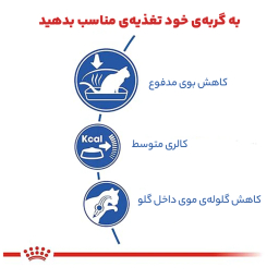 غذای خشک گربه رویال کنین مدل Indoor Home Life وزن 2 کیلوگرم