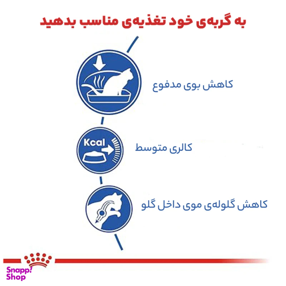 غذای خشک گربه رویال کنین مدل Indoor Home Life وزن 2 کیلوگرم