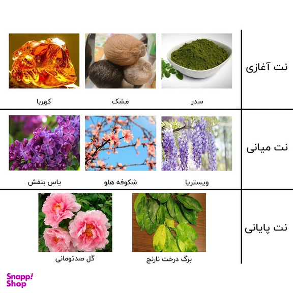 ادوپرفیوم زنانه نیفتی مدل اکلت حجم 100 میلی لیتر