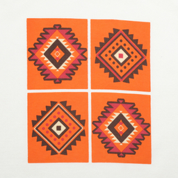 ست تی شرت و شلوارک پسرانه فیورلا مدل سرخپوست 34059